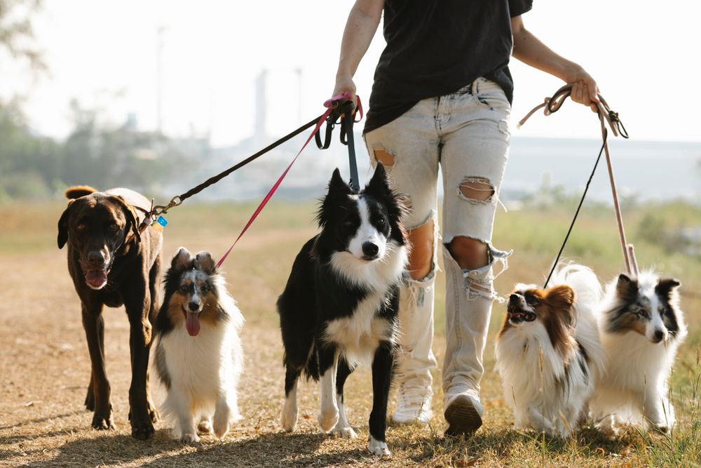 Köpeğine sarılan kadın