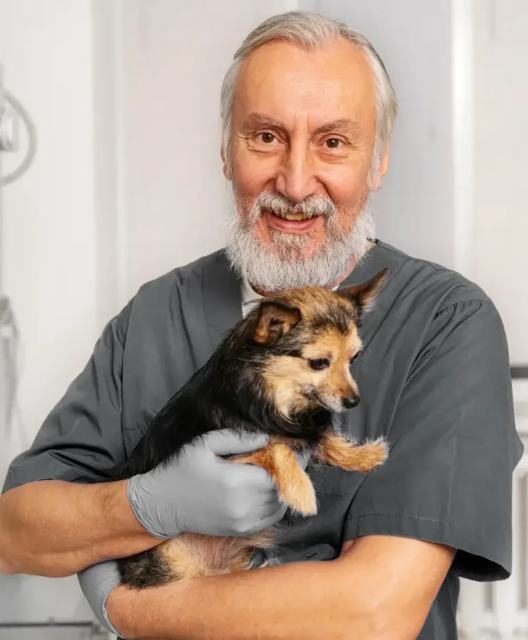 Dr. Mert Kaya